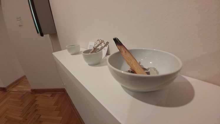 Wystawa "Czarny potok" - fot. MG