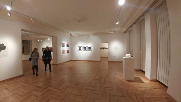 Wystawa "Czarny potok" - fot. MG