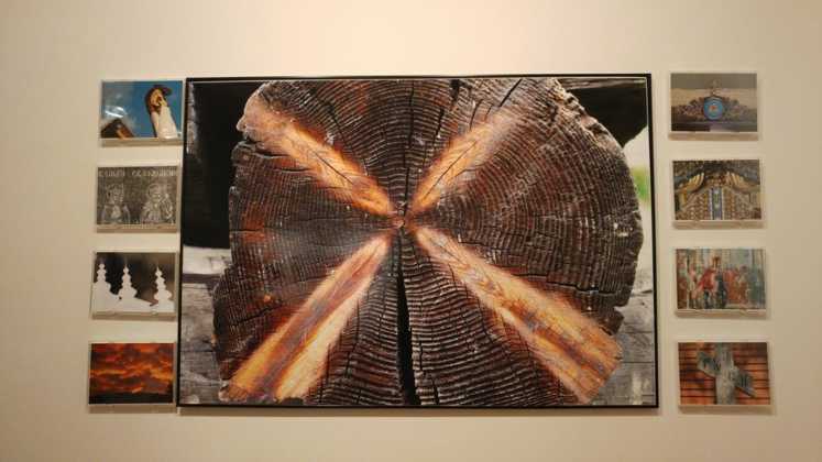 Wystawa "Czarny potok" - fot. MG