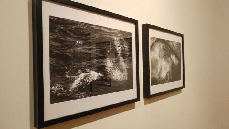 Wystawa "Czarny potok" - fot. MG