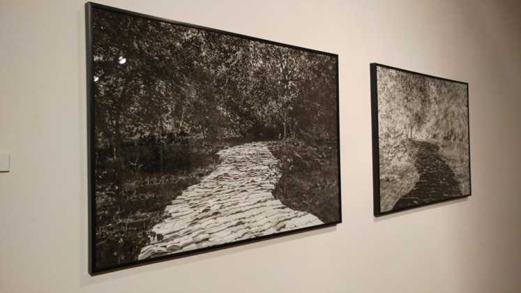 Wystawa "Czarny potok" - fot. MG