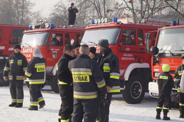 Strażacy dla Alana - charytatywny festyn strażacki w Sosnowcu - fot. MC