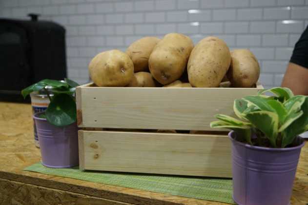 Bulwa Nać w Sosnowcu &ndash; fot. MC