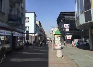 Modrzejowska - fot. MZ