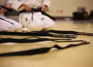 Karate - fot. Pixabay
