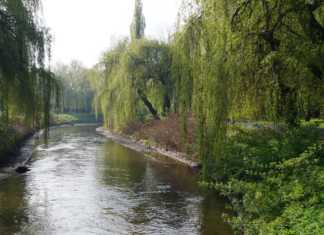 Bulwar Czarnej Przemszy - fot. MC