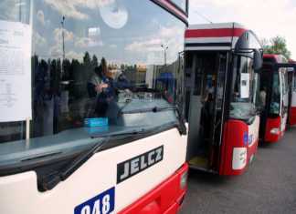 Autobusy PKM Sosnowiec – for. Arch TZ