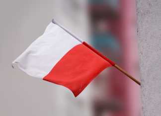 Polska flaga - Pixabay