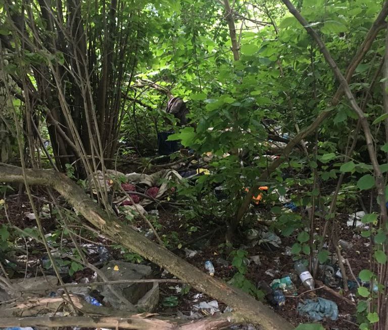 Nieużytki przy ul. Popiełuszki w Sosnowcu - fot. KMP Sosnowiec