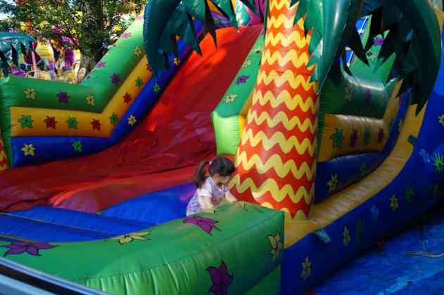 Dni Sosnowca 2017 - fot. MC