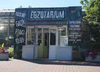 Egzotarium w Sosnowcu - fot. MC