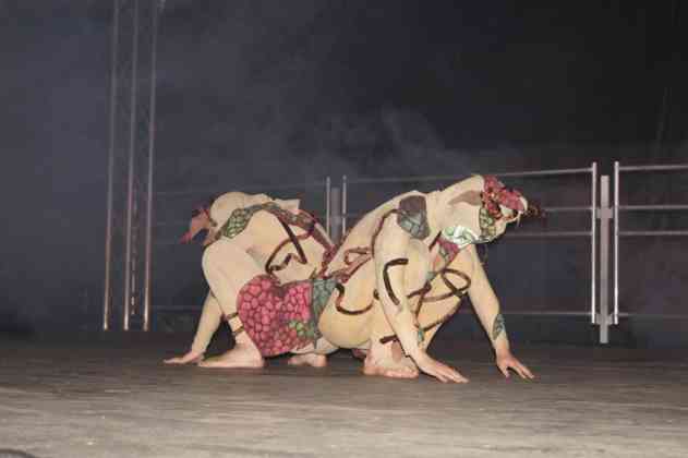 Będzińska Noc Świętojańska - fot. MC