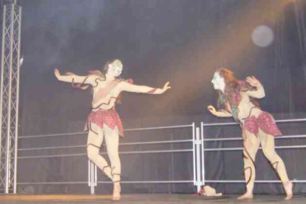 Będzińska Noc Świętojańska - fot. MC