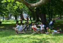Piknik w Parku Sieleckim - fot. PL