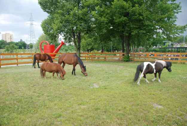 Ogr&oacute;d polisensoryczny w Sosnowcu - fot. UM Sosnowiec