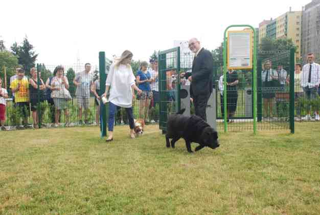 Ogr&oacute;d polisensoryczny w Sosnowcu - fot. UM Sosnowiec