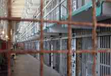 Więzienie – fot. Pixabay