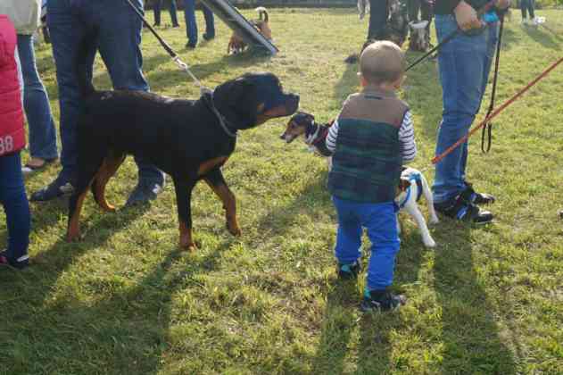 Strefa Psiej Aktywności w Będzinie - fot. MC