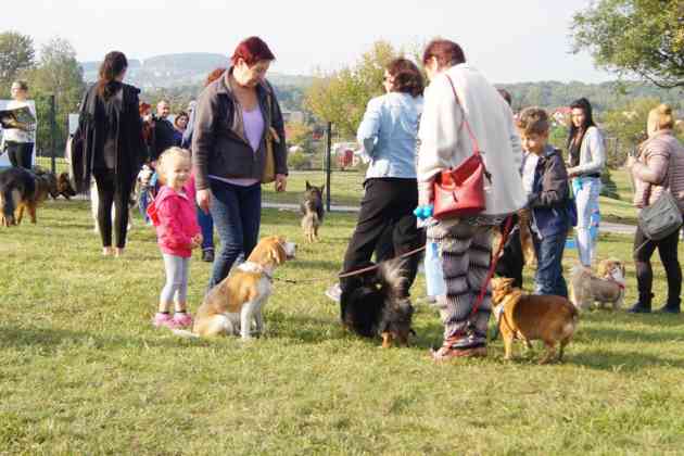 Strefa Psiej Aktywności w Będzinie - fot. MC