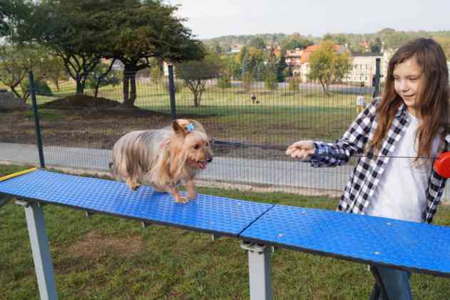 Strefa Psiej Aktywności w Będzinie - fot. MC