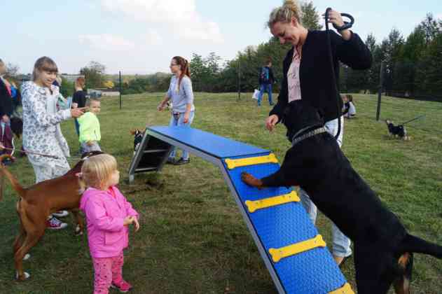 Strefa Psiej Aktywności w Będzinie - fot. MC