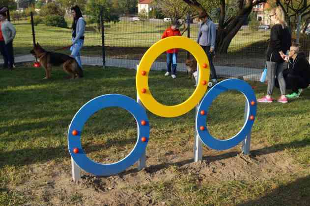 Strefa Psiej Aktywności w Będzinie - fot. MC