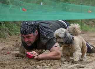 Hard Dog Race w Dąbrowie Górniczej - fot. Hard Dog Race