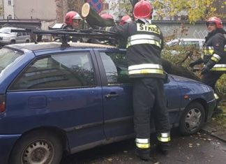 Skutki orkanu Grzegorz - fot. Piotr Krotoszak