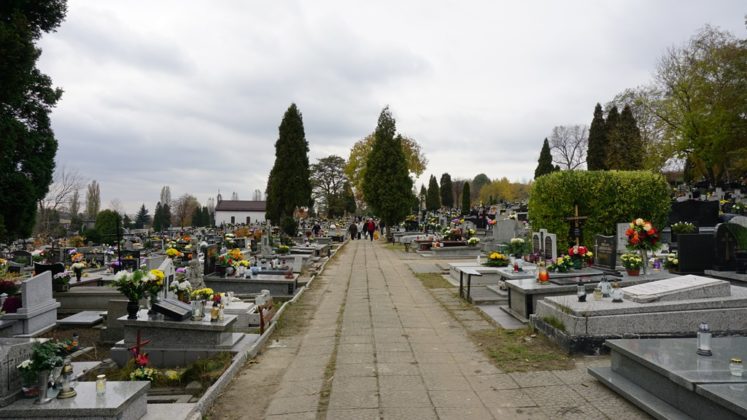 Cmentarze w Zagłębiu - fot. MC