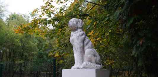 Rexarium Czeladź - fot. MC