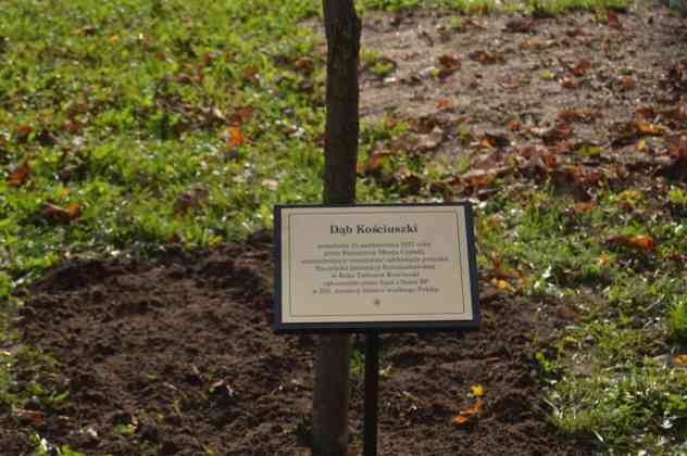 Wielka bitwa na rynku i odsłonięcie pomnika Tadeusza Kościuszki w Czeladzi - fot. MZ