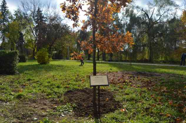 Wielka bitwa na rynku i odsłonięcie pomnika Tadeusza Kościuszki w Czeladzi - fot. MZ