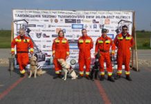 Dąbrowska Sekcja Poszukiwawczo-Ratownicza