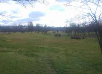 Park Alfred w Czeladzi - fot. Łukasz Zub