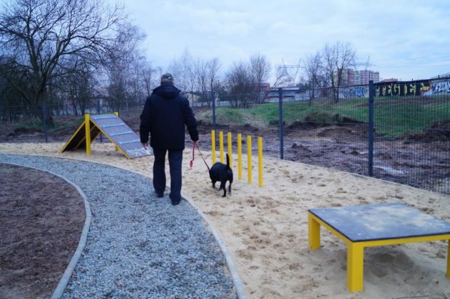 Tor dla ps&oacute;w w Dąbrowie G&oacute;rniczej - fot. MC