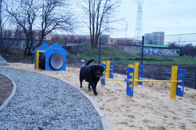 Tor dla ps&oacute;w w Dąbrowie G&oacute;rniczej - fot. MC