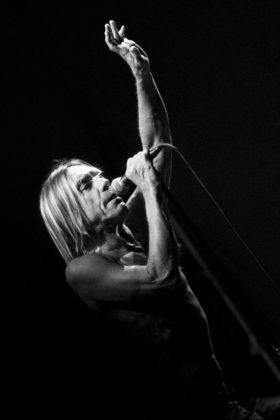 Fotografia koncertowa - fot. Przemysław Kokot