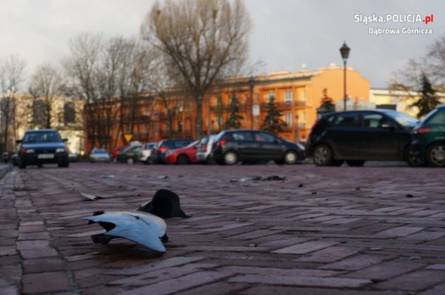 Kierowca BMW staranował 11 zaparkowanych samochod&oacute;w - fot. KMP Dąbrowa G&oacute;rnicza