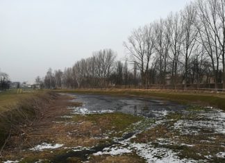 Remont Parku Grabek w Czeladzi – fot. UM Czeladź