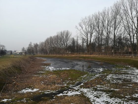 Remont Parku Grabek w Czeladzi – fot. UM Czeladź
