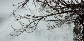 Burza śnieżna - fot. Pixabay