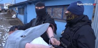 Policjanci zlikwidowali plantację narkotyków w Sosnowcu - fot. Policja