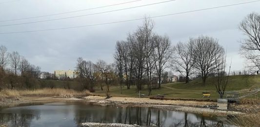 Wysychające jeziorko przy Górce Środulskiej - fot. Paweł Wojtusiak