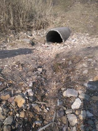 Wysychające jeziorko przy G&oacute;rce Środulskiej - fot. archiwum prywatne