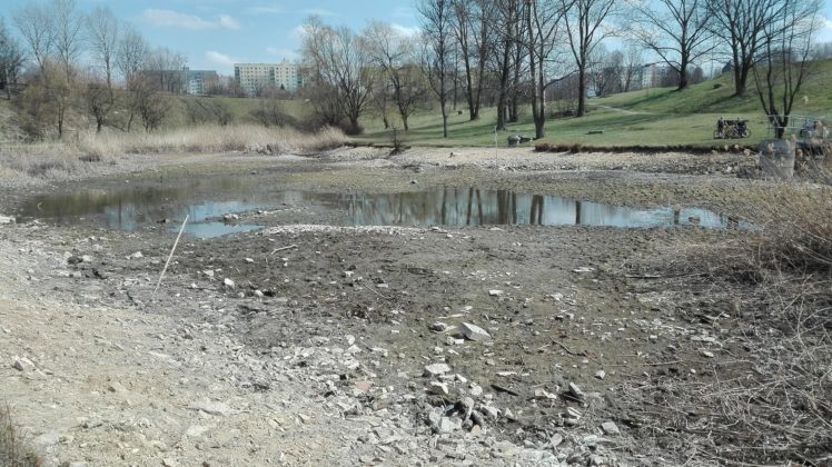 Wysychające jeziorko przy G&oacute;rce Środulskiej - fot. archiwum prywatne
