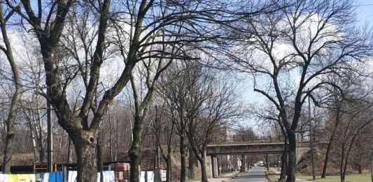 Remont wiaduktu przy ul. Lipowej - fot. MC