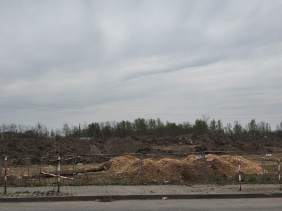 Trwa budowa Hillwood Zagłebie &ndash; fot. MC