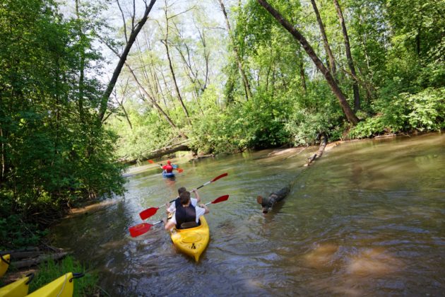Spływ kajakowy po Białej Przemszy &ndash; fot. UM Sosnowiec