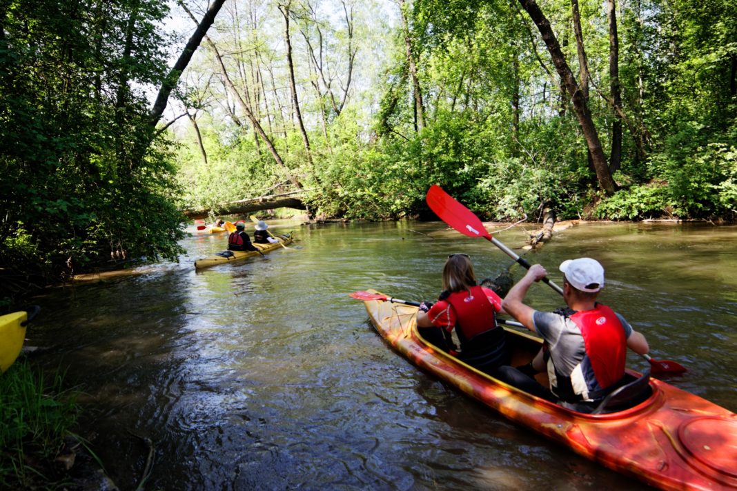 Spływ kajakowy po Białej Przemszy – fot. UM Sosnowiec
