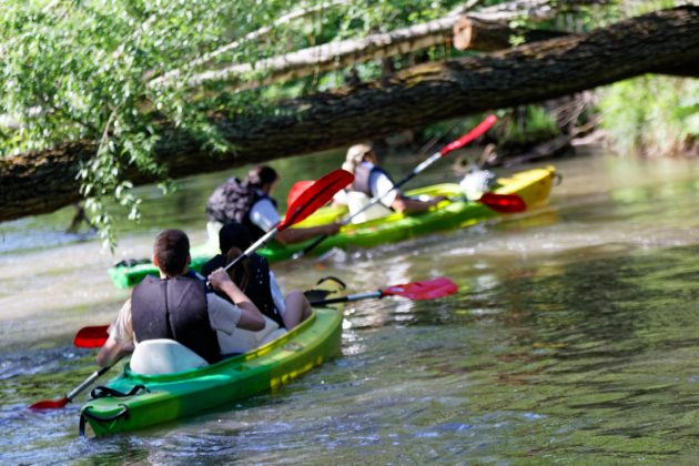 Spływ kajakowy po Białej Przemszy &ndash; fot. UM Sosnowiec